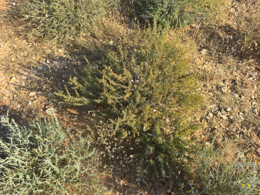 Commercial Property for Sale in Carnarvon Rural Northern Cape